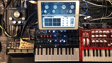 How To Sync Korg Volca Drum - Arturia MicroFreak & MicroBrute To AUM - Live iPad Tutorial