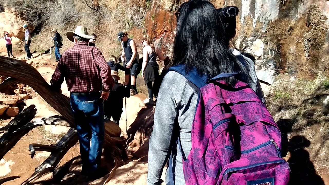 Kids hike to Canyon Overlook in Zion National Park.