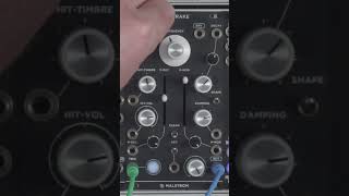Noise Engineering Sinc Bucina ユーロラック Noise Engineering Sinc Bucina - Eurorack Module on ModularGrid