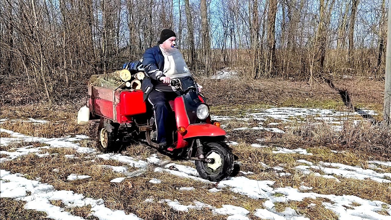 ЗАГОТОВКА ДРОВ! 2026(Муравей словил КЛИН💀)