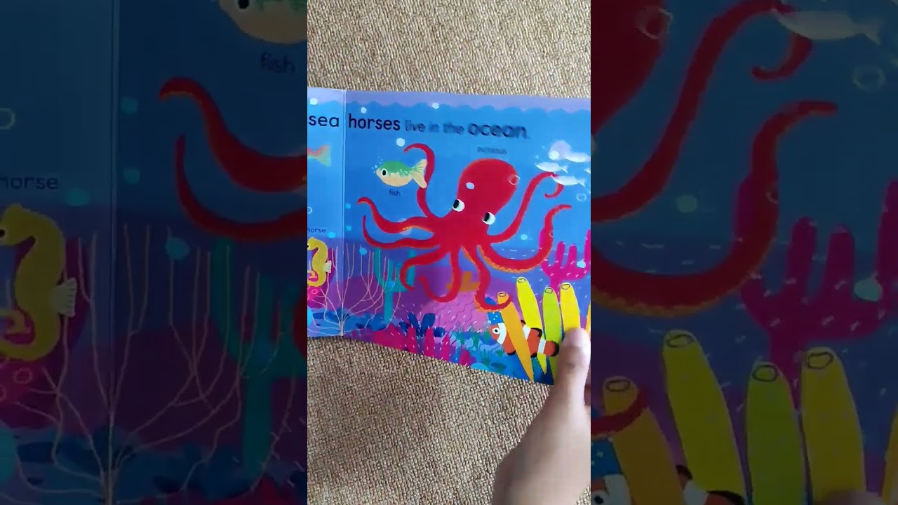 Review Buku Baby 101 Zoology for babies 