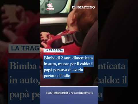 Video Bimba di 2 anni dimenticata in auto, muore per il caldo: il papà pensava di averla portata all'asilo