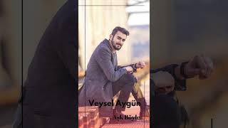 Veysel Aygün - Aşk Böyle #VeyselAygün #Aşkböyle #popmusic Resimi