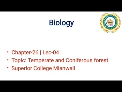 Temperate and Coniferous