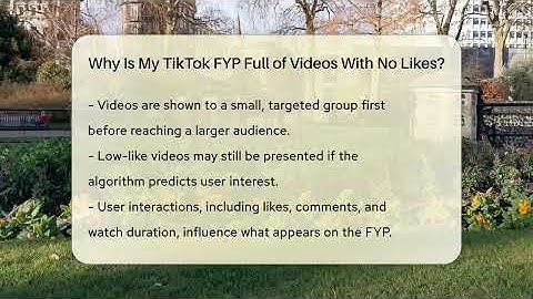 Why Is My TikTok FYP Full of Videos With No Likes? - Everyday-Networking