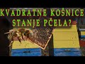 KVADRATNA KOŠNICA stanje PČELA Građevnjak SATNA OSNOVA square hive beekeeping abeilles apiculture