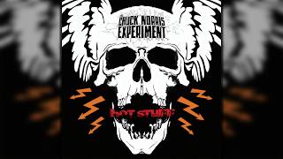 The Chuck Norris Experiment - R.A.M.O.N.E.S. (Motörhead Cover)