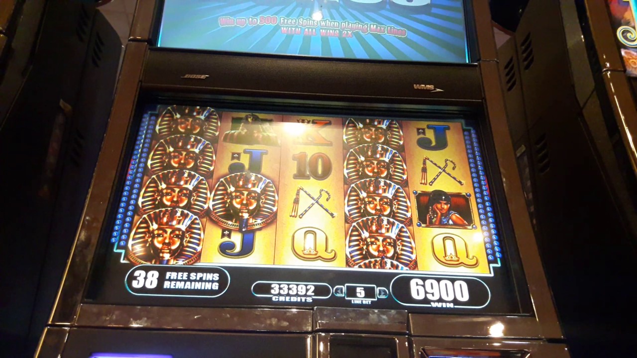 Jogos de casino gratis caca niqueis In Bloom Jogos de casino gratis caca niqueis In Bloom