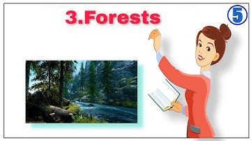 FORESTS CLASS 5 SCIENCE CHAPTER 3 IN ENGLISH AND HINDI