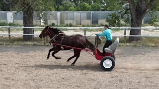 Riggs Rocks The Cart - Drive 20