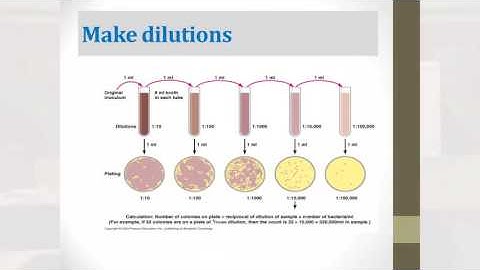 Microbiological water testing