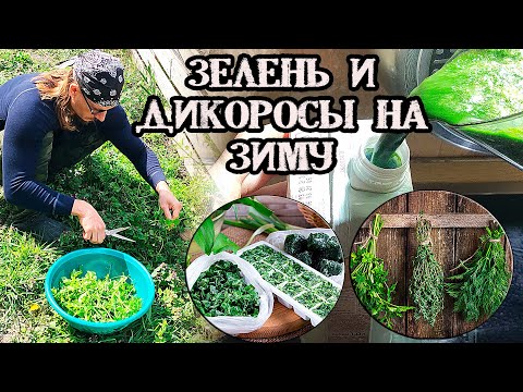 🌿 Зелень и