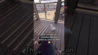 My Atoo Barking Like A Dog Is Hilarious