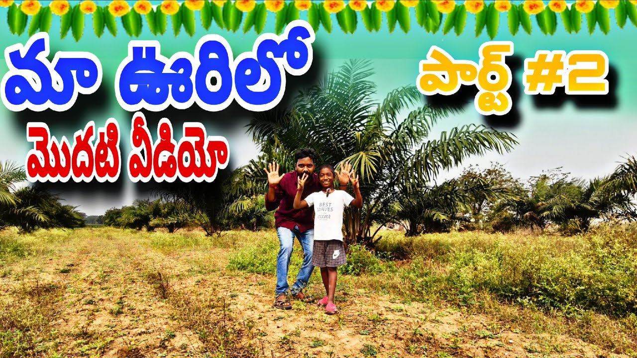 ఫామ్ ఆయిల్ చెట్లు 🎧...... ¡¡¡¡¡ #vlog #villagelife #subscribe #viral 