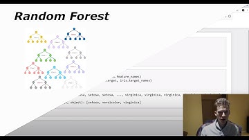 Random Forest In Python