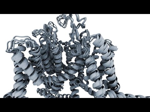 AlphaFold Is The Most Important Achievement In AI—Ever