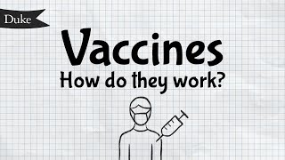 How Do Vaccines Work? | Quick Learner