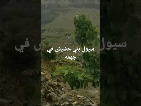 احلى منظر في بني حشيش عيال مالك