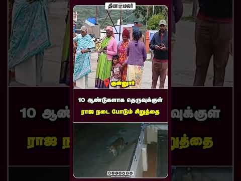 10 ஆண்டுகளாக தெருவுக்குள் ராஜ நடை போடும் சிறுத்தை