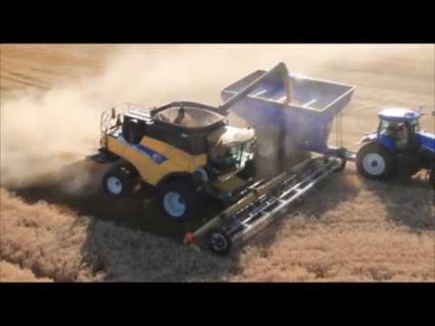 100 bushels and