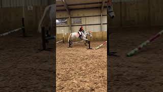 Boom Boom Boom Boom! #horse#equestrian #horsegirl #equine #horserider #showjumping#gridwork