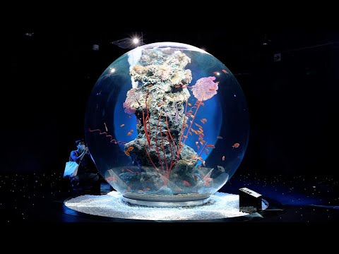 舞台美術やデジタルアートを融合させた水族館「アトア」オープン