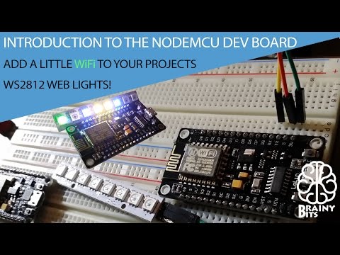 Program NODEMCU Dev