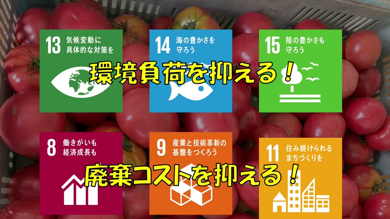 広がる！規格外トマトの可能性！ - SDGs QUEST みらい甲子園