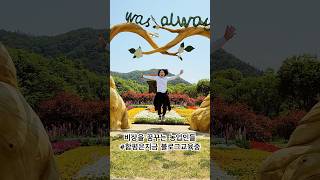 #함평은지금 #블로그교육열풍 | #유튜브￼ #인스타그램 | 체험_볼거리_즐길거리_먹거리