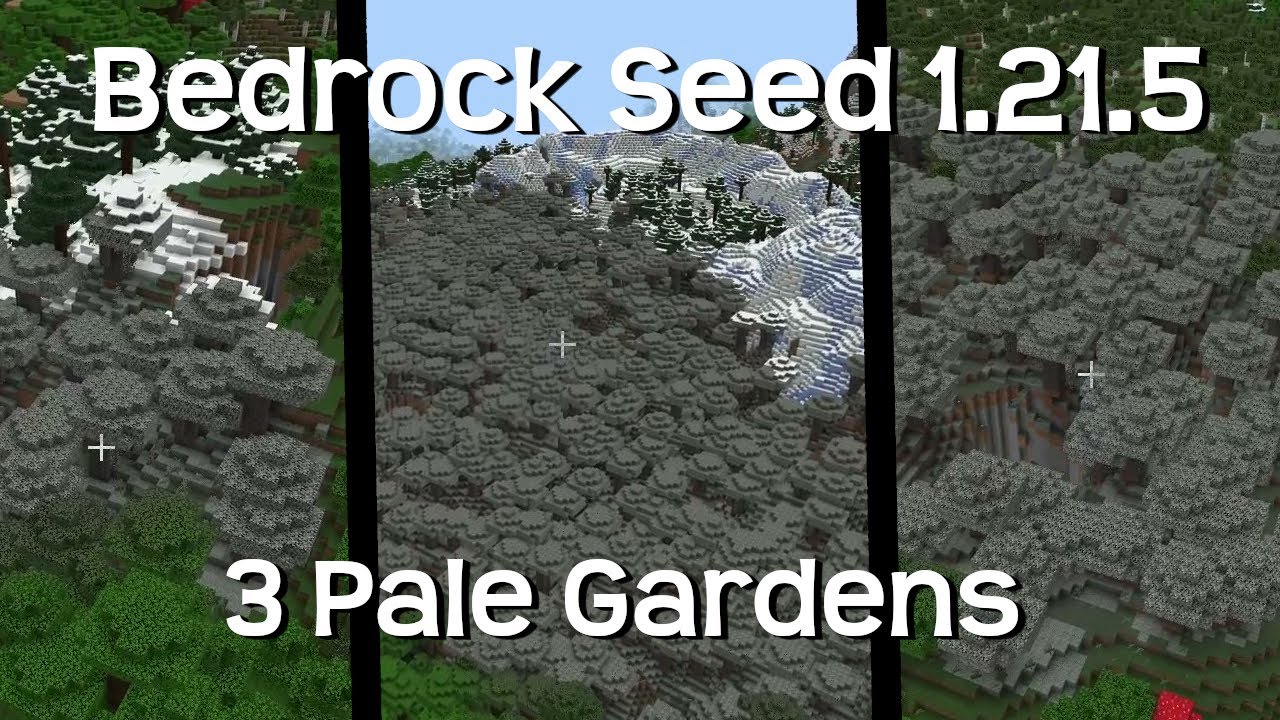 This Bedrock 1.21.5 Seed Has Three Pale Garden Biomes Near Spawn! - YouTube