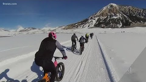 Next with Kyle Clark full show (2/1/2019)