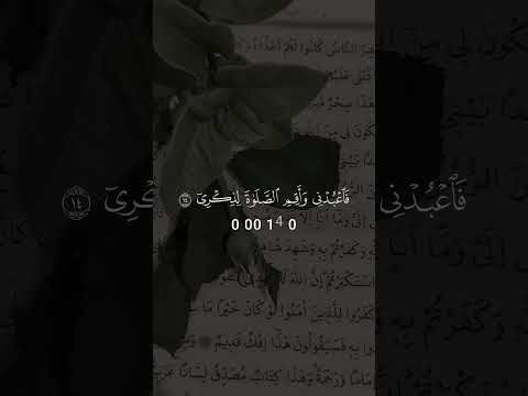 أخترتك أنت فأستمع لما يوحى قرآن تلاوة وحي ذكر خشوع موعظة راحة نفسية قرآن يشرح الصدر