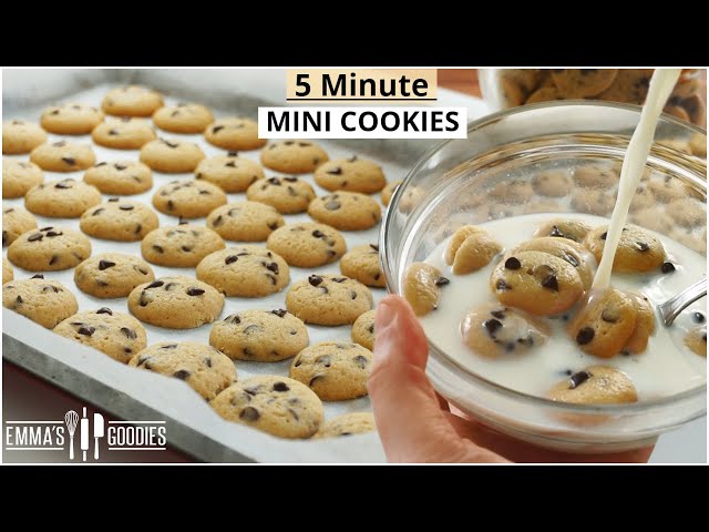 YOUR new FAVORITE way to eat Cookies! 5 minute Mini Chocolate Chip Cookies