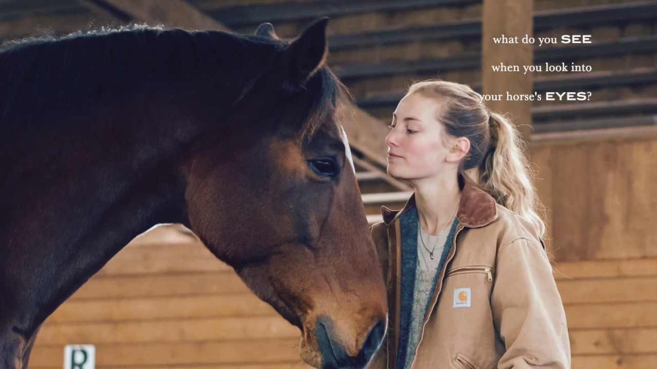 set free || being with horses