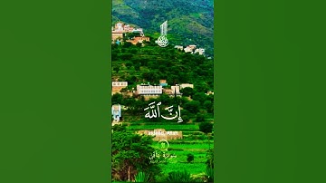 تلاوة خاشعة قرأن كريم تخشع له القلوب #تلاوة #اكسبلور #aslam #المصحف #trend #لايك #قران_كريم