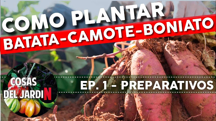#BATATASERIE EP01 - BATATA, CAMOTE O BONIATO. Quién se suma a este experimento?