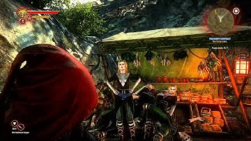 Witcher 2 glitch