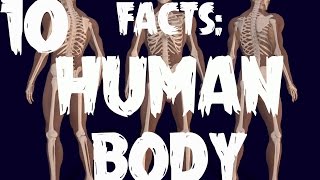 Full Top 10 Facts - Human Body Update