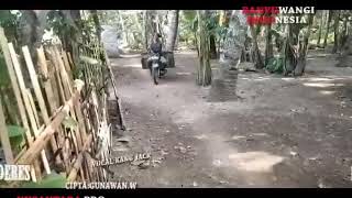 Download lagu Deres klopo