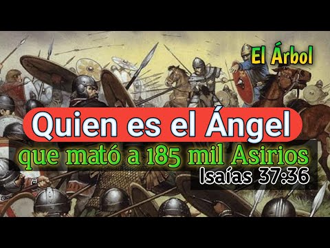 Quien es el