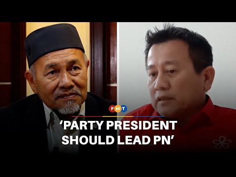 Bersatu not budging, party president should lead PN, says Tun Faisal