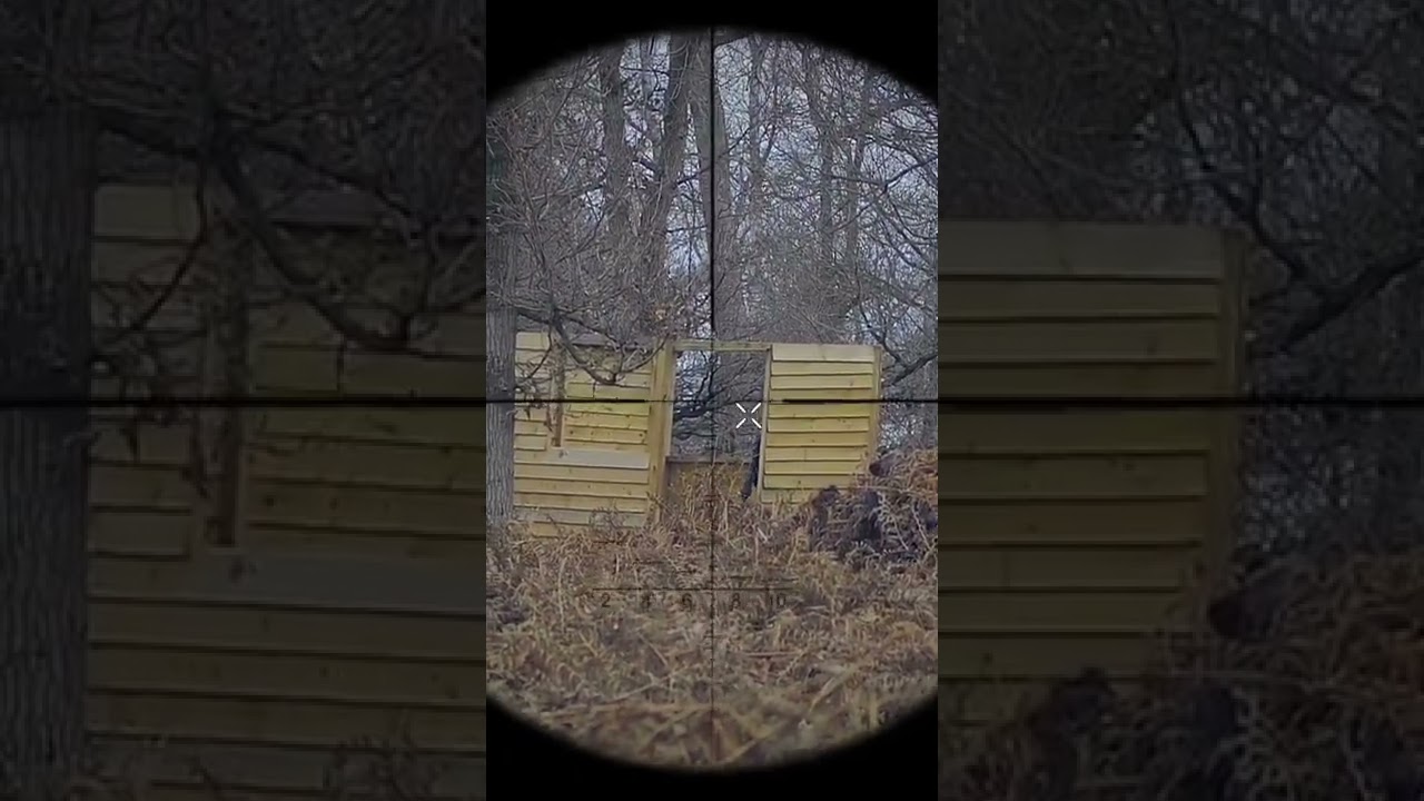 Long distance sniper shot / airsoft sniper scope camera