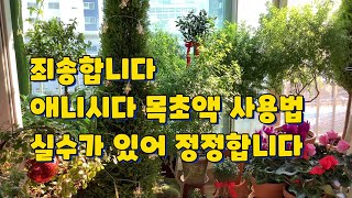 애니시다 목초액 용량 표기에 실수가 있어요 죄송합니다 🙇🏻‍♀️꼭!! 확인 부탁드립니다~🙏🏻
