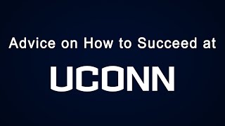 Advice on How to Succeed at UConn