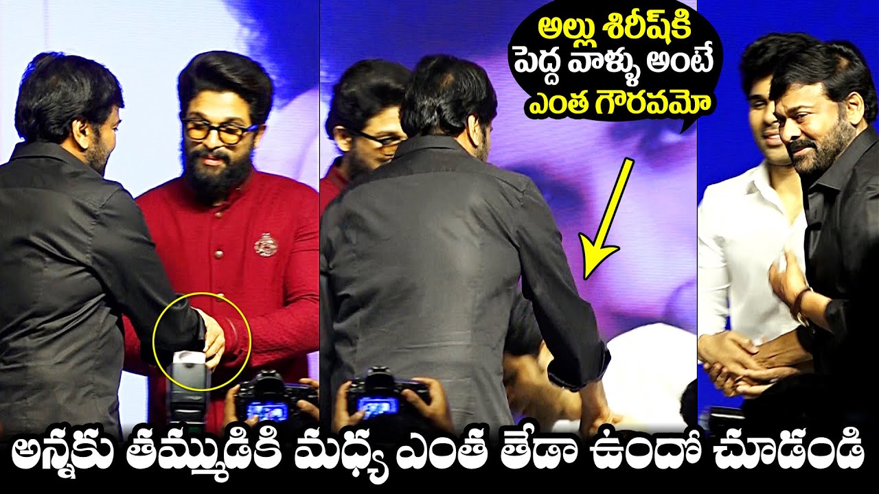 See The Difference Between Allu Arjun And Allu Sirish Respect Towards Elders | Chiranjeevi |NewsQube