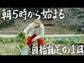 【田舎ひとり暮らし】朝5時から始まる田舎の冬の日々 #202