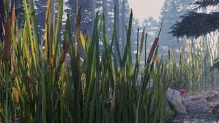 V-Ray 5 for Maya, update 1 — How to speed up rendering with Opacity Cutout Conversion