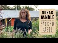 Sacred Basil with Morag Gamble