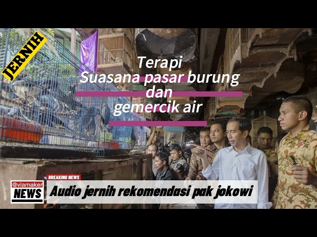 SUARA KERAMAIAN PASAR BURUNG DAN GEMERCIK AIR UNTUK REFLEKSI BURUNG class=