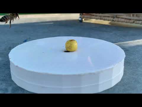 Autoshaping Cap Pushing